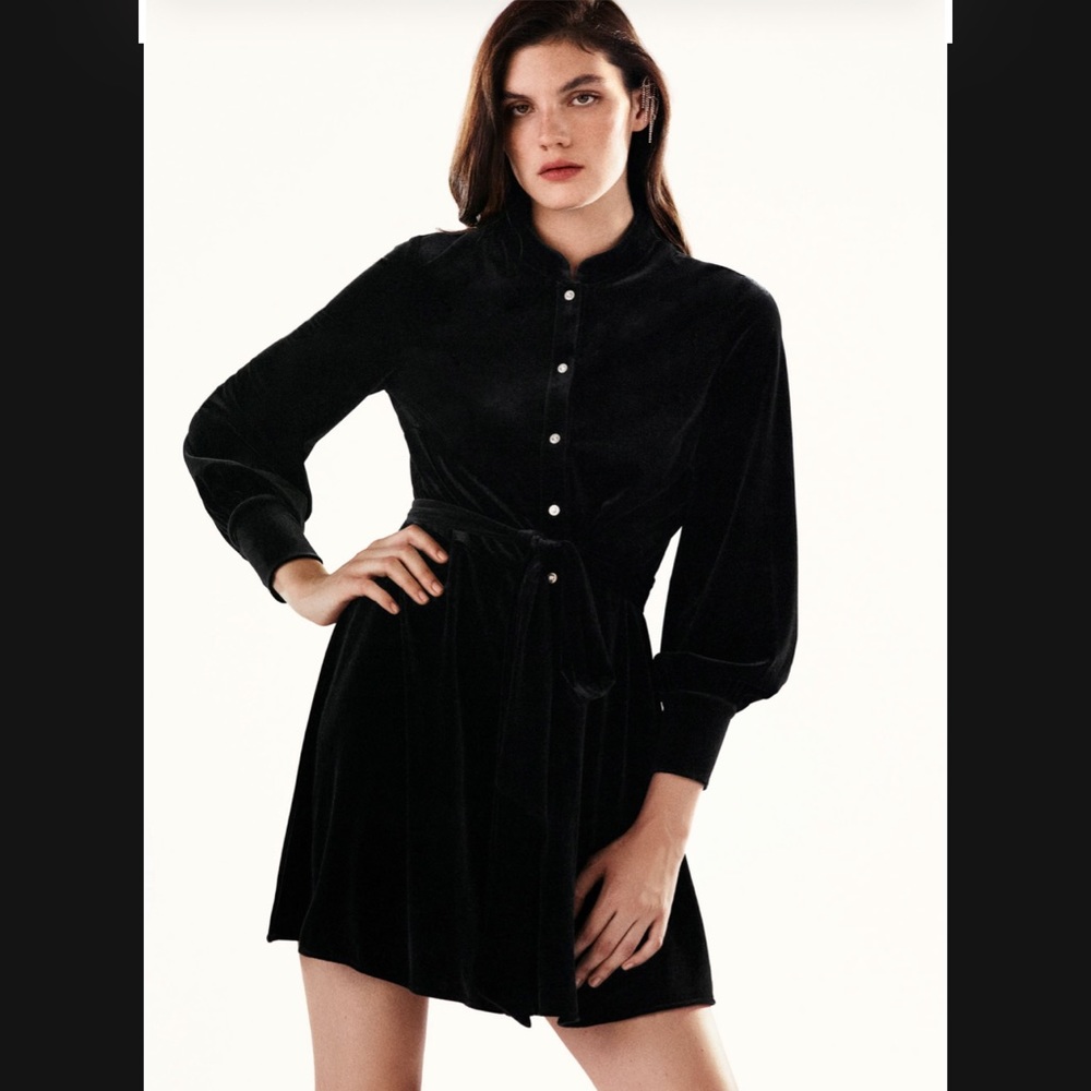 Zara velvet Dress